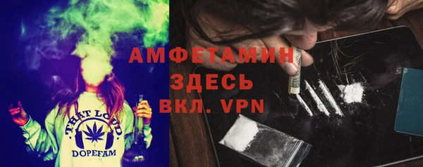ALPHA PVP Горняк