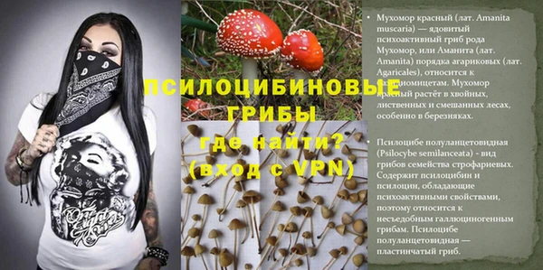 амф Горно-Алтайск