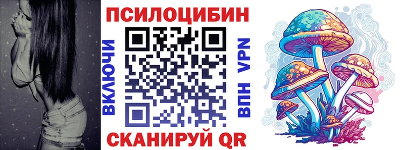 Купить где  Кандалакша  Псилоцибиновые грибы Psilocybe 